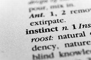 gut instincts have great value in business