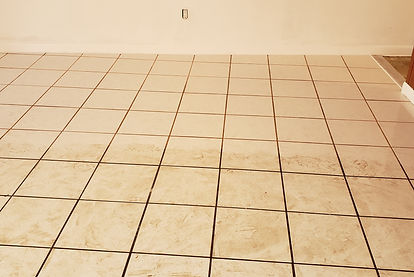 We are a VERY DETAILED tile cleaner here in Broward County