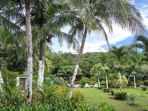 What happens at an ayahuasca retreat?