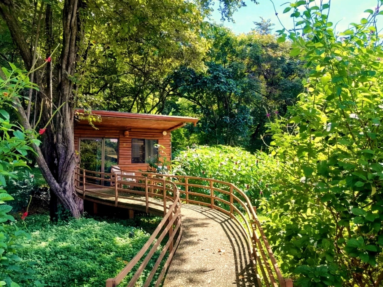 Transformative Ceremonies & Intimate Groups New Life Ayahuasca Costa Rica