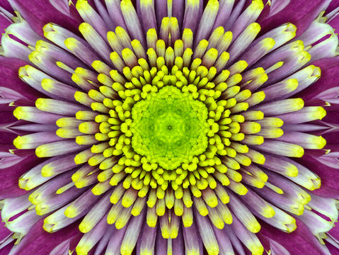 The Dangers of Perfectionism: How Striving for the Best Can Backfire