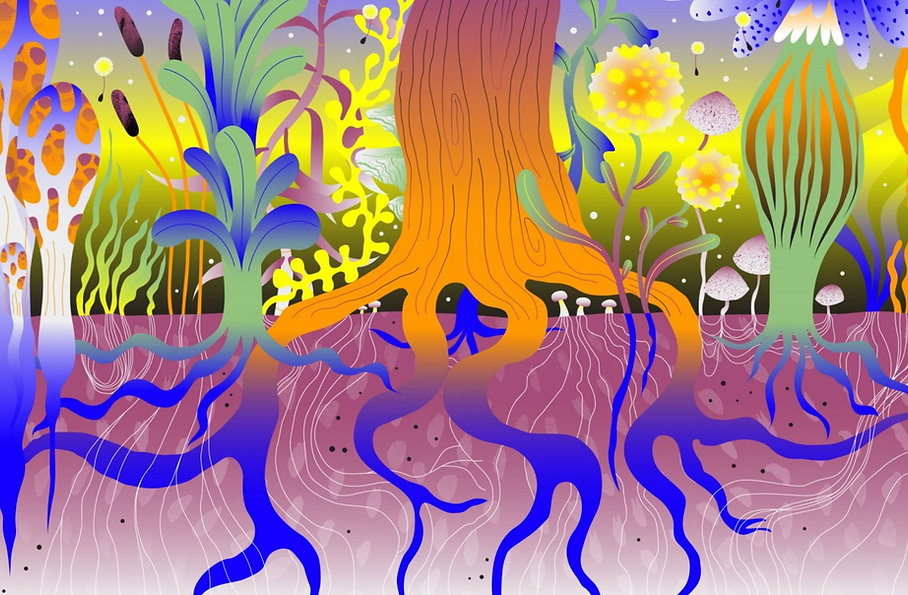 LAB Plataforma + United Networks _united network .png