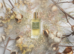 Capture d’écran 2022-10-31 à 11.45.08