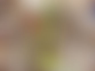 Welle Ausgleichsruder eingebaut