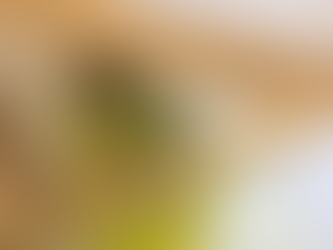 Forward Mounting of the Vertical Stabiliser