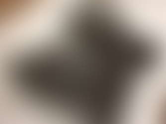 Nose Landing Gear update 2