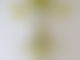 Rudder Compensation Mechanism