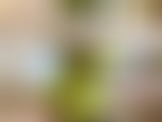 Front Fuselage Fin Attachment