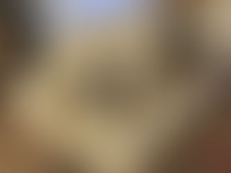 First Bulkheads on the Building Frame