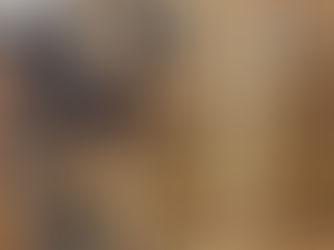 Nose Landing Gear Update 6