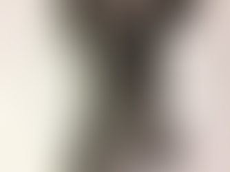 Bugfahrwerk update 2