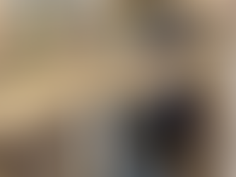 Nose Landing Gear Update 8