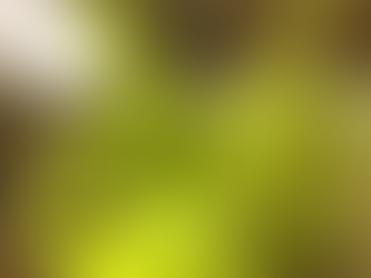 Rudder Compensation Mechanism Installed