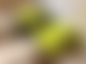 Steuerknüppelsupport