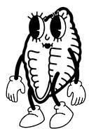 Perso_FBR_2024-05_edited.png