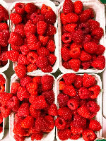 Himbeeren_web_edited.jpg