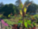 C7651742-643E-46D2-9F0F-A8D6B7AA7B9C.jpg