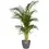 Thumbnail: Plant pot Front View in use
