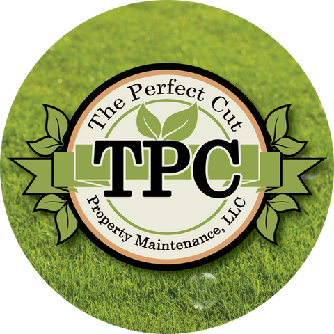 The Perfect Cut LLC