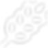trigo (1).png