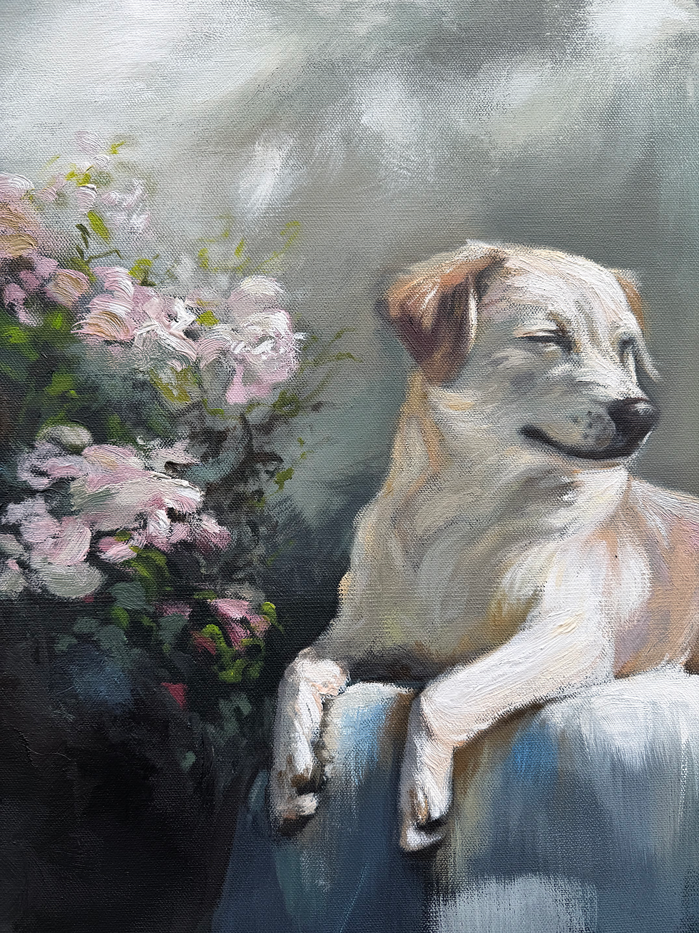 Thumbnail: Dog basking in the sun painting