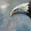Thumbnail: Bald Eagle & American flag nest painting  