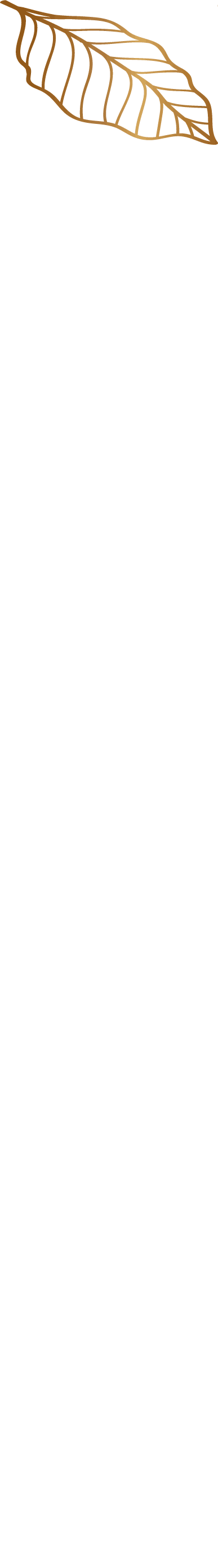 Elementos-2.1.gif