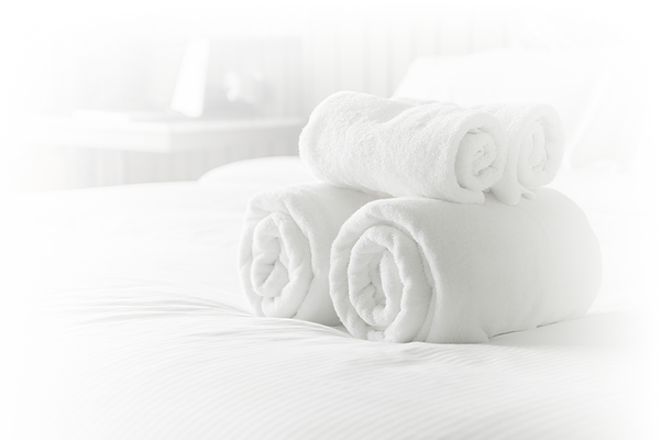 Fresh Bed.png
