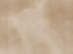 FAOT Dark Beige BG.jpg