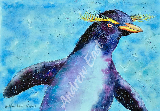 Watercolour penguin.jpg
