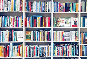 Library Shelves_edited.jpg