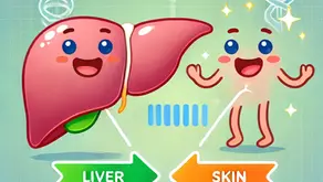Understanding the Link Between Liver Health and Skin Conditions: What You Need to Know