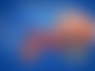 Magnesium L-Threonate Is a Promising Forms of Magnesium for the Brain