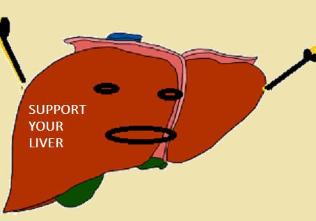 Healthy liver – strong body!