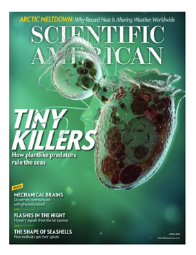 Assam's Endangered Apes