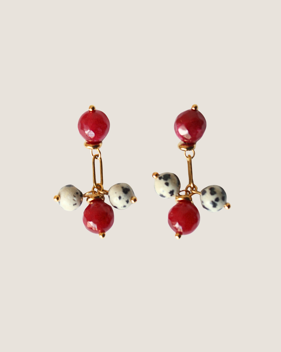 Miniatura: Gemelos dalmita tigre burdeos