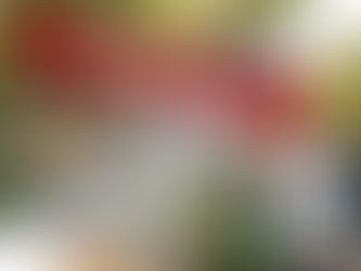 Batter & Bags - POSTPONED to Sat. May 2, 10am