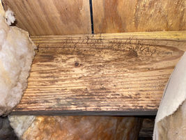 Water-damaged floor joist needing repair