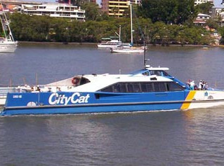 Brisbanes Iconic City Cats