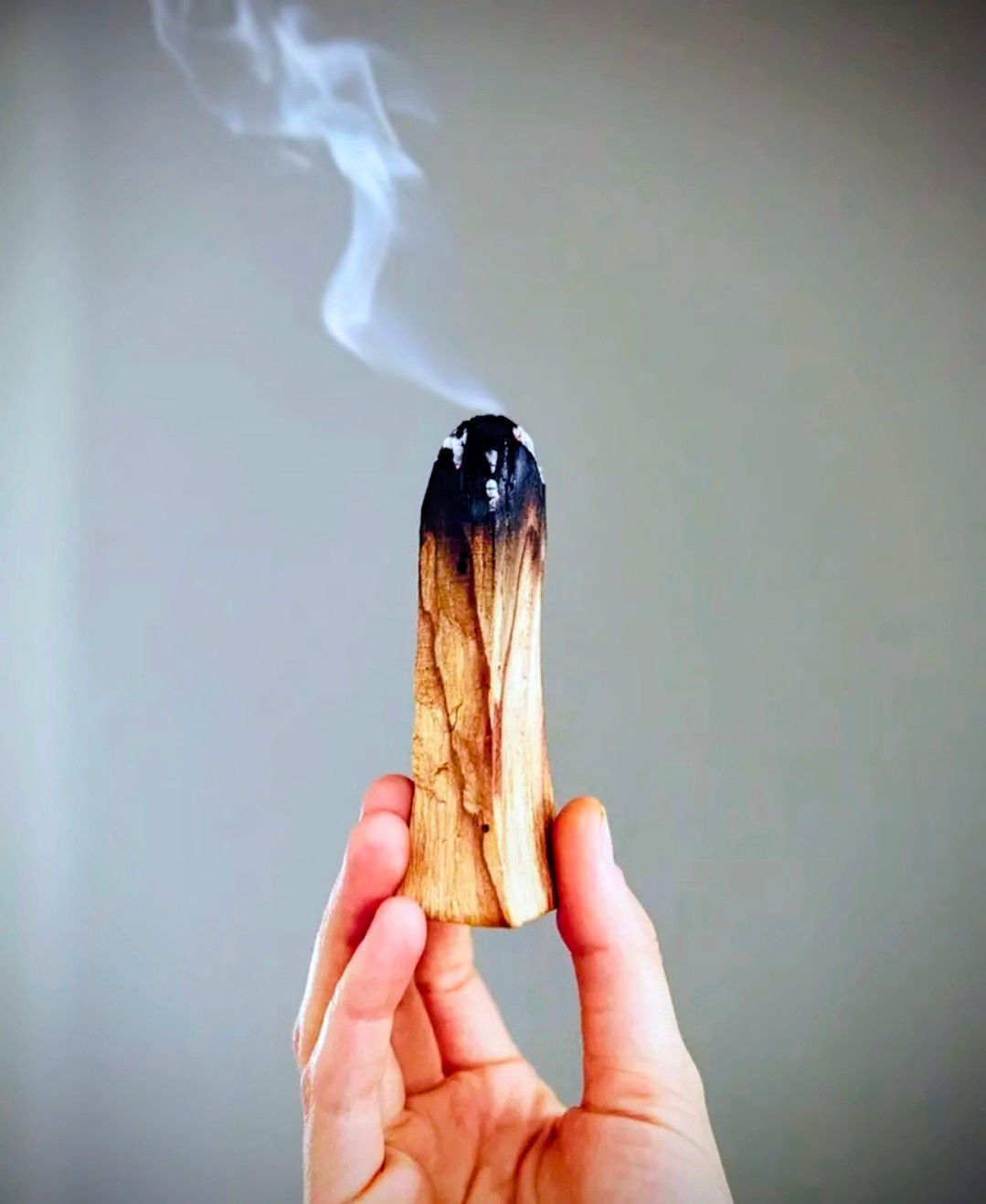 Palo santo single