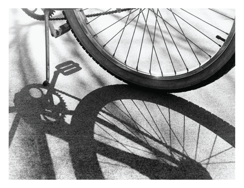Bike Wheel