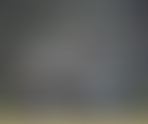 Lifestyle Trends Shaping Buyer Preferences