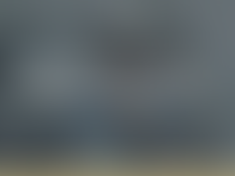 Things You Should Never Do Before Buying a Home