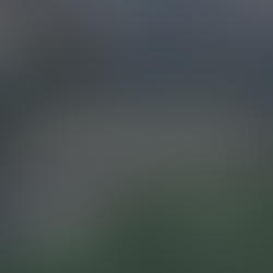 How to Turn Your Backyard Into a Relaxing Oasis