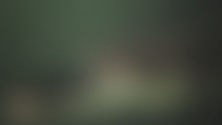 no need to visit northern australia