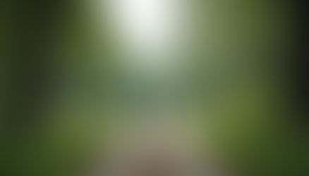 Challenging the Status Quo: Practical Steps for Growth and Innovation