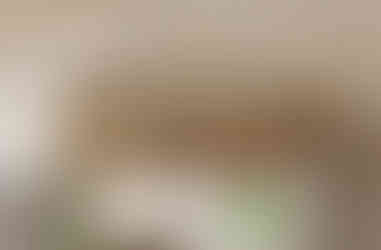 Olay Sensitive Calming Facial Moisturiser Packaging in gold