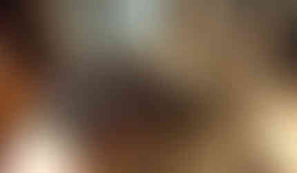 A cute grey cat is groomed by the Awinner Pet grooming glove