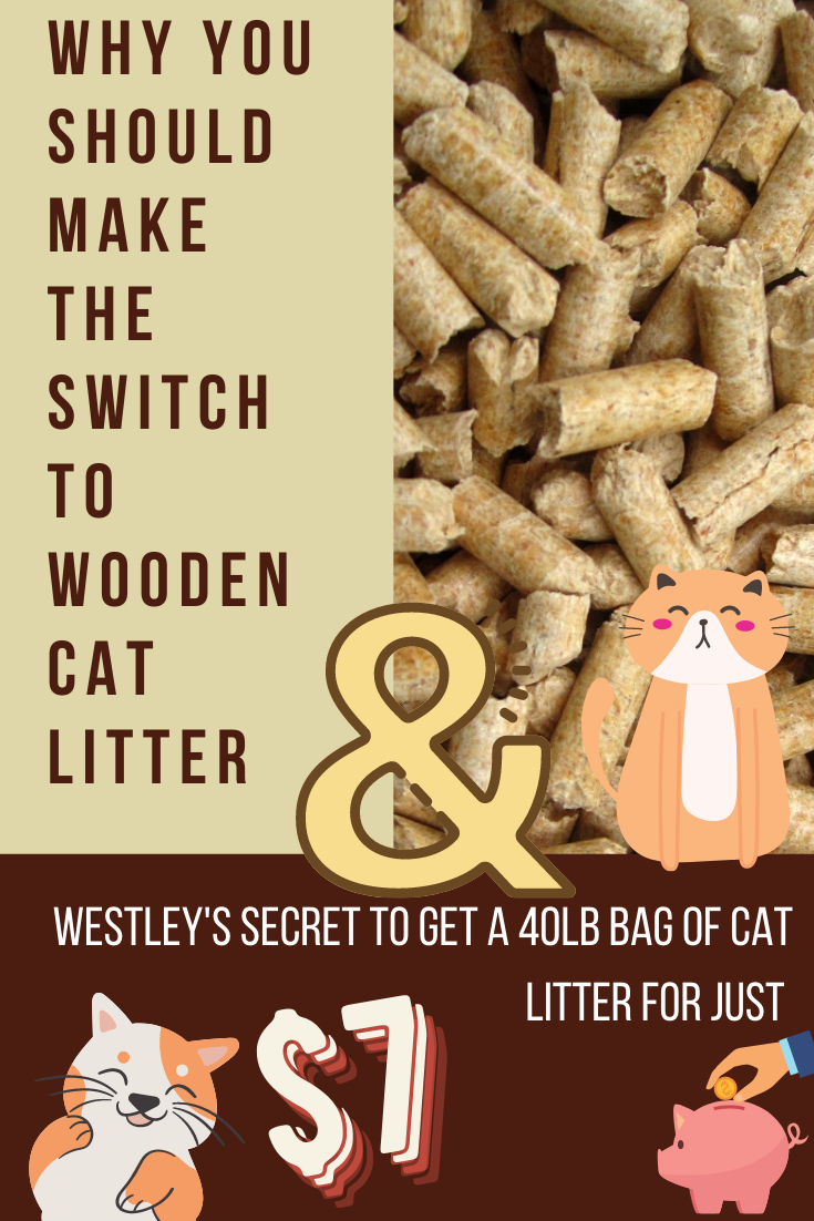 Why you should make the switch to Wooden Cat Litter