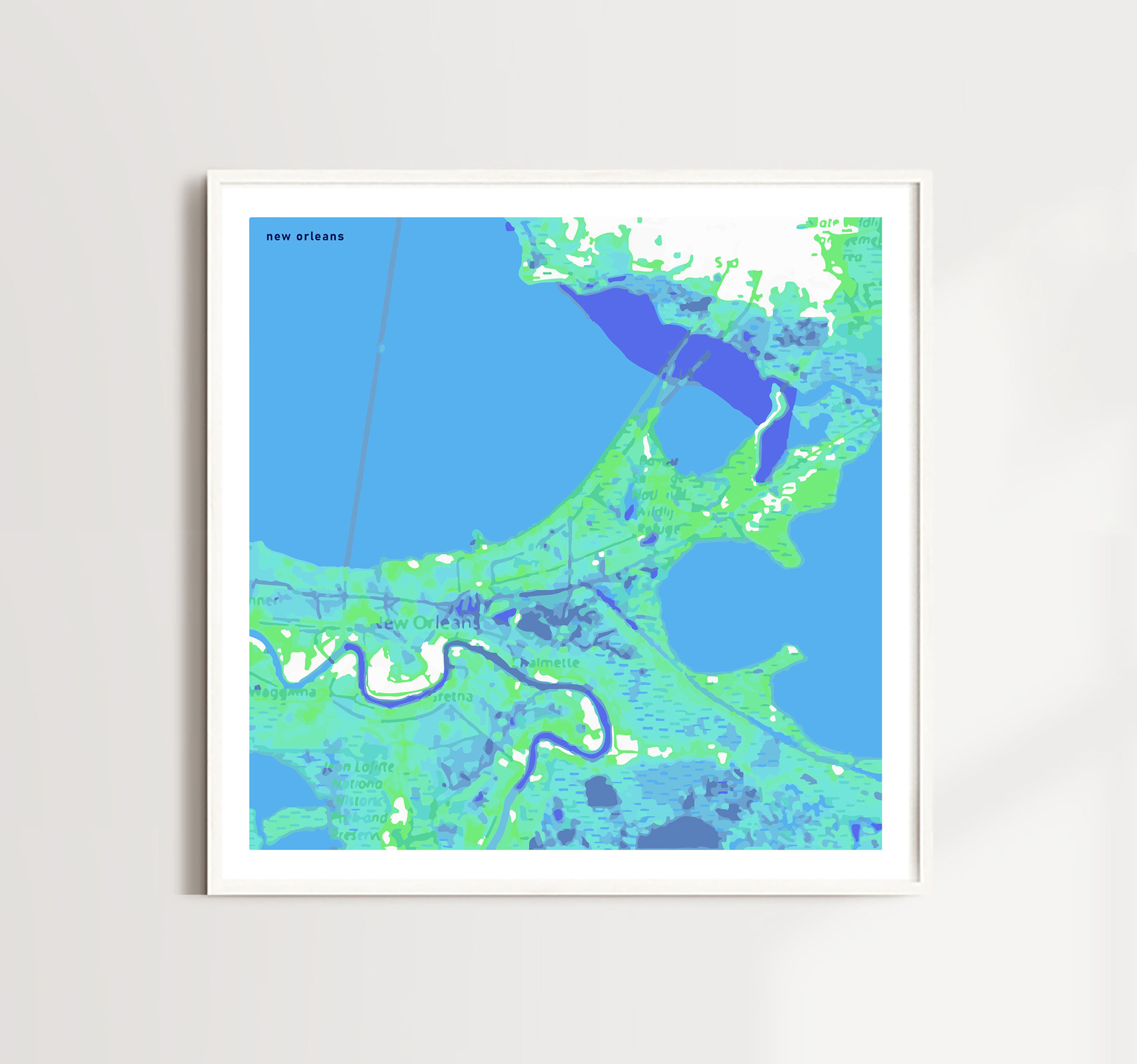 New Orleans Topography Map